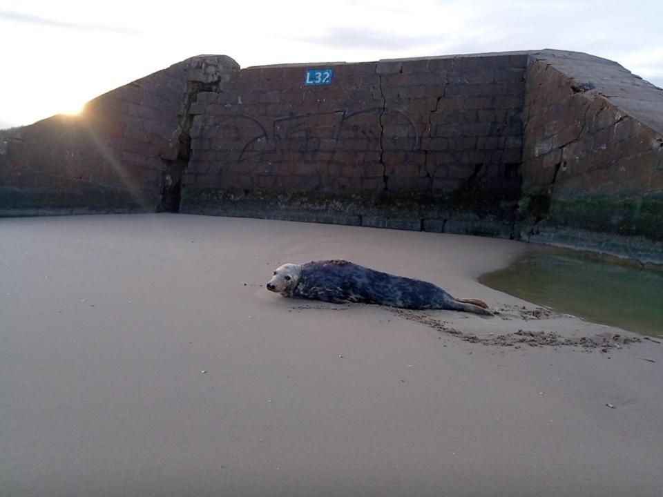 Joe Cocker Apartamento Dunkirk Exterior foto
